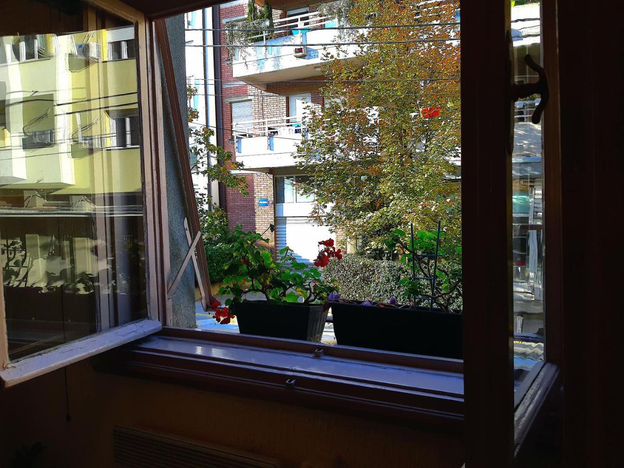 Jelena Apartment 베오그라드 외부 사진