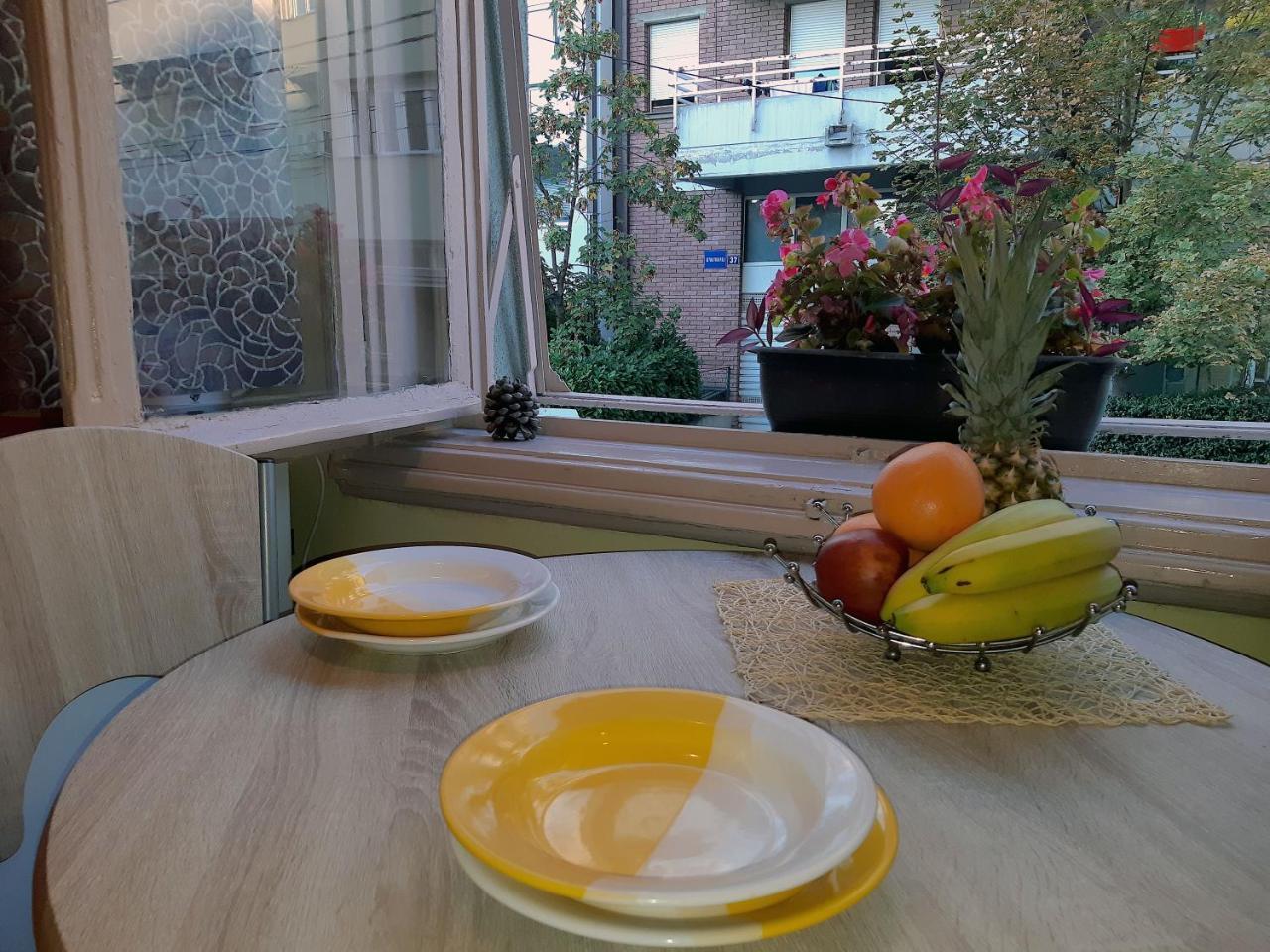Jelena Apartment 베오그라드 외부 사진